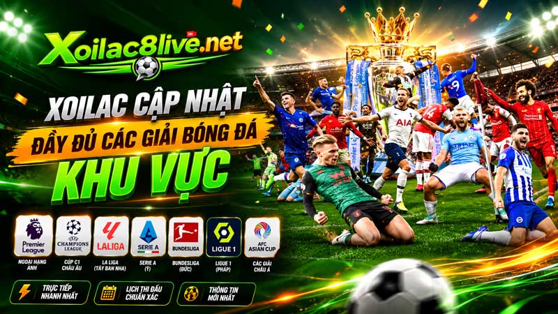 Xoilac cập nhật đầy đủ các giải bóng đá khu vực