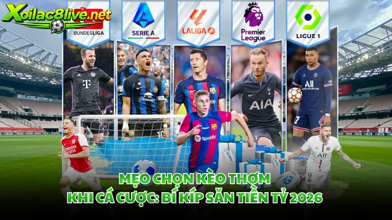 Mẹo Chọn Kèo Thơm Khi Cá Cược